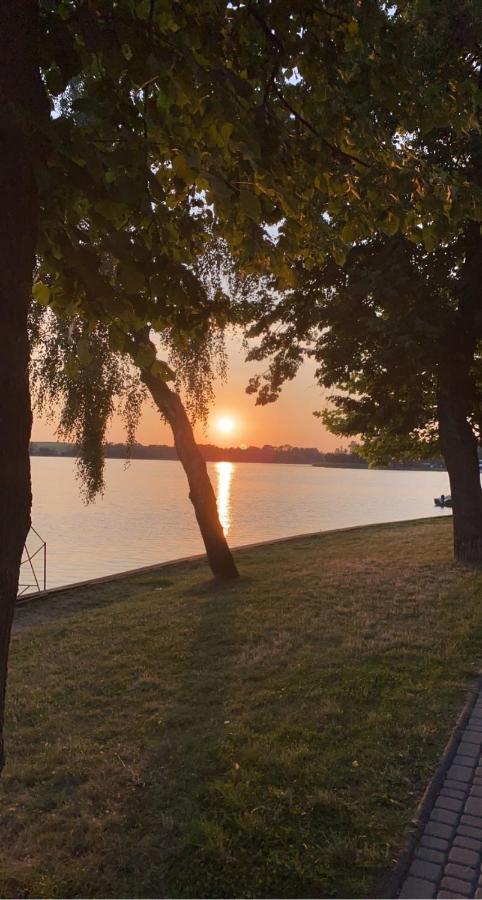 Egzotyczna Bahia W Krainie Alicji * Ełk